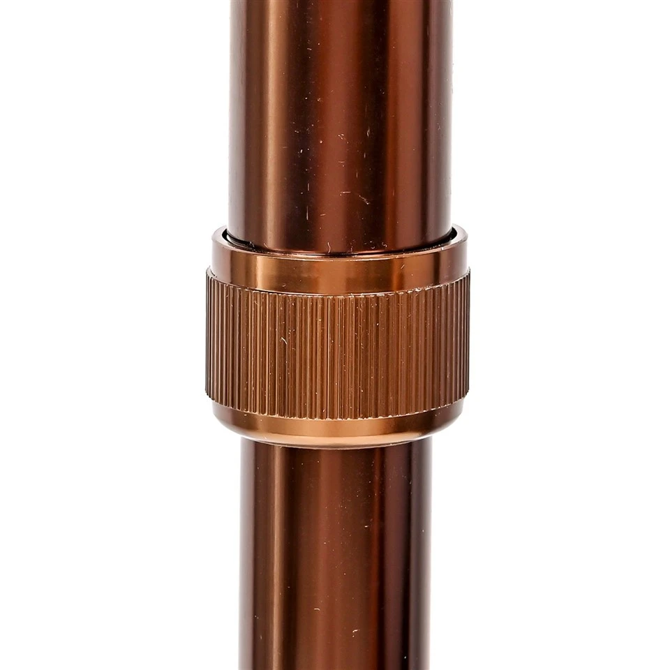 adjustable walking stick (5)