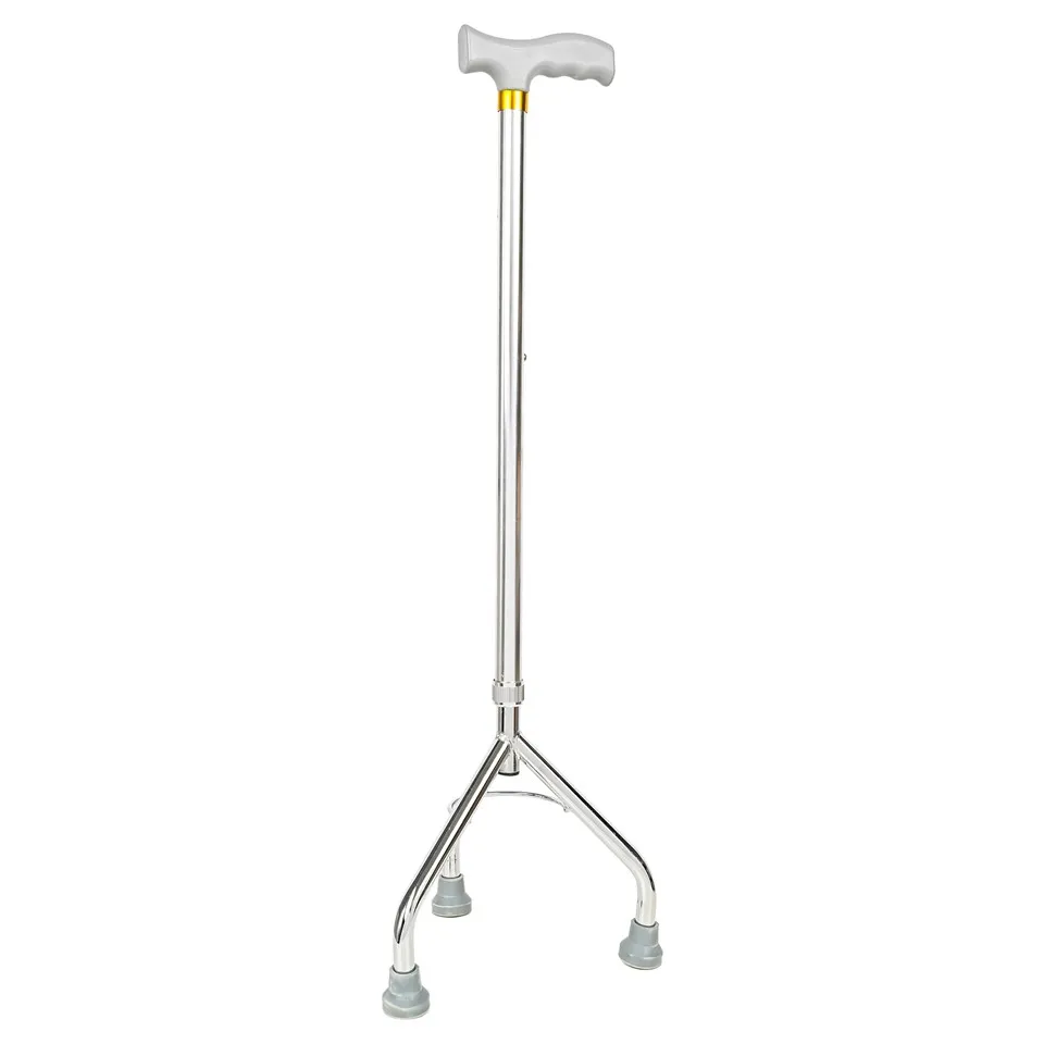 Parim kepp pensionäridele