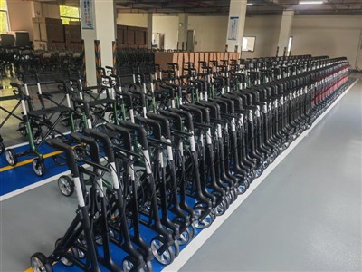 what are the disadvantages of a rollator walker